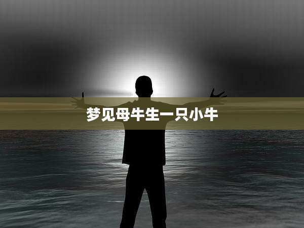 梦见母牛生一只小牛