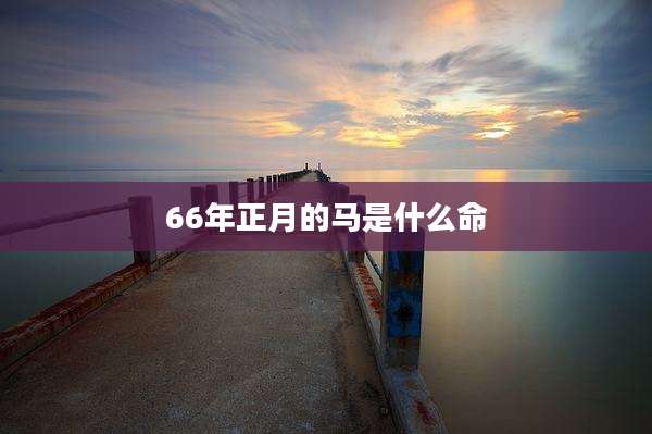 66年正月的马是什么命