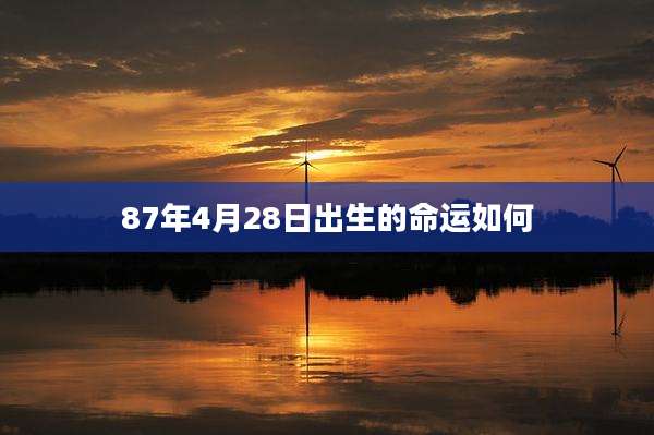 87年4月28日出生的命运如何