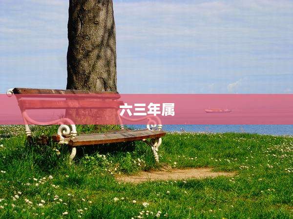 六三年属