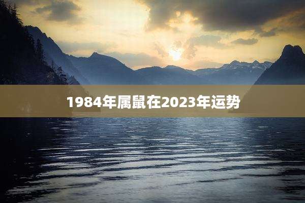 1984年属鼠在2023年运势