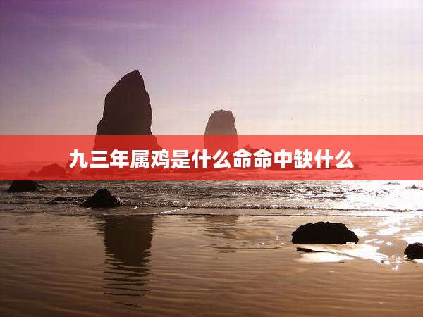 九三年属鸡是什么命命中缺什么