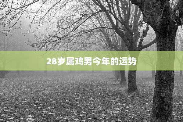 28岁属鸡男今年的运势