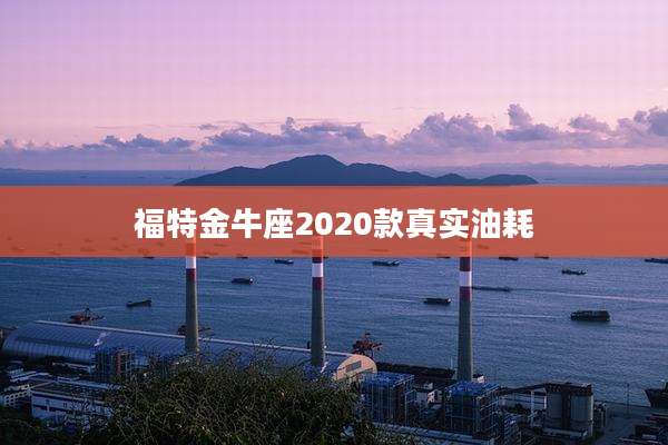 福特金牛座2020款真实油耗