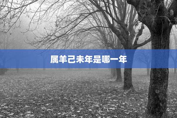 属羊己未年是哪一年