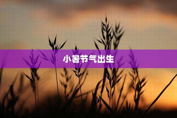 小暑节气出生
