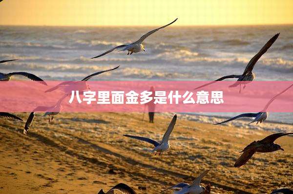 八字里面金多是什么意思