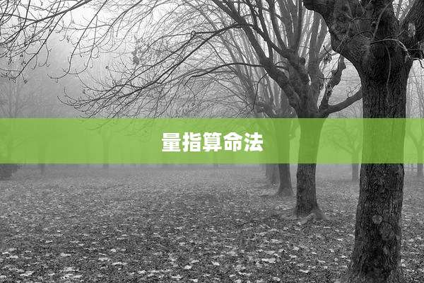 量指算命法