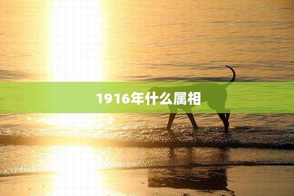 1916年什么属相