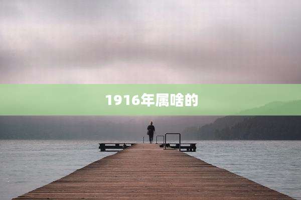1916年属啥的