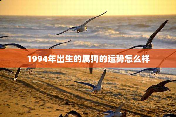 1994年出生的属狗的运势怎么样
