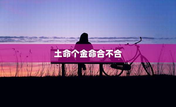 土命个金命合不合