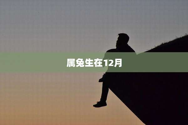 属兔生在12月