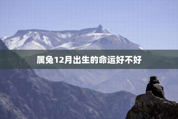 属兔12月出生的命运好不好