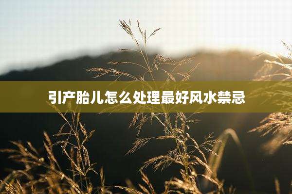 引产胎儿怎么处理最好风水禁忌