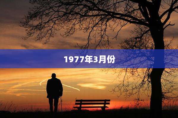1977年3月份