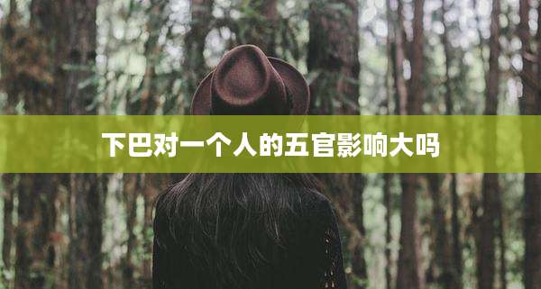 下巴对一个人的五官影响大吗