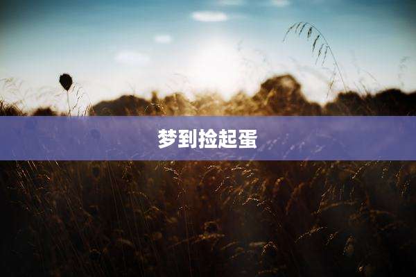 梦到捡起蛋