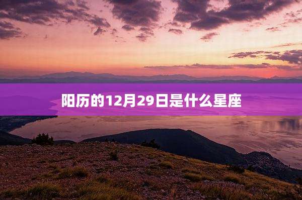 阳历的12月29日是什么星座