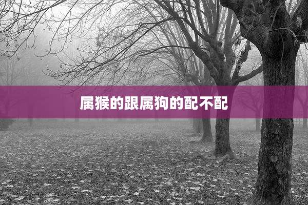 属猴的跟属狗的配不配