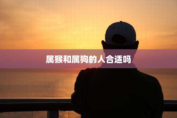 属猴和属狗的人合适吗