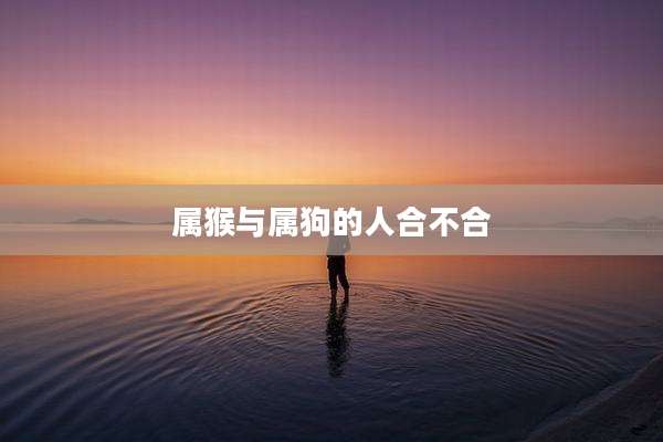 属猴与属狗的人合不合