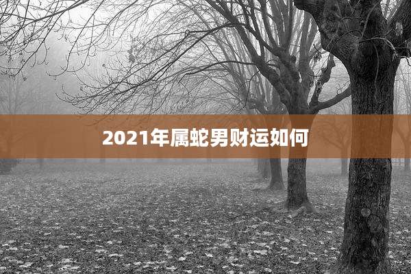 2021年属蛇男财运如何
