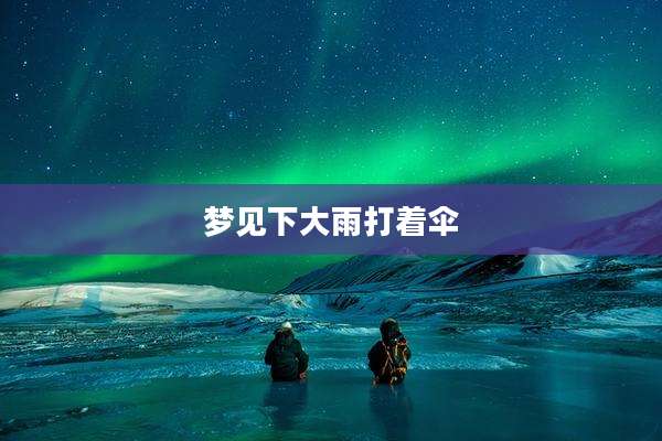 梦见下大雨打着伞