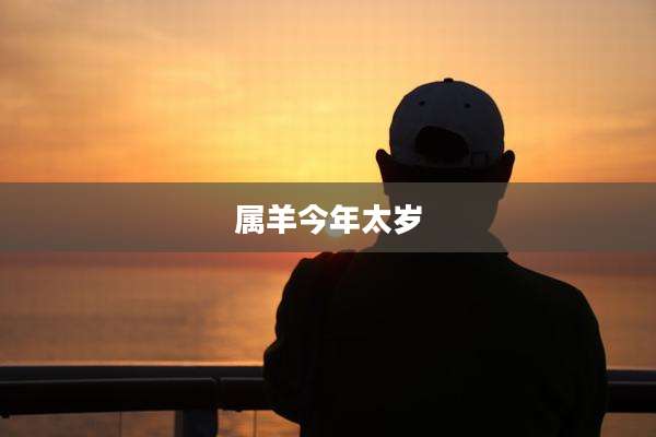 属羊今年太岁