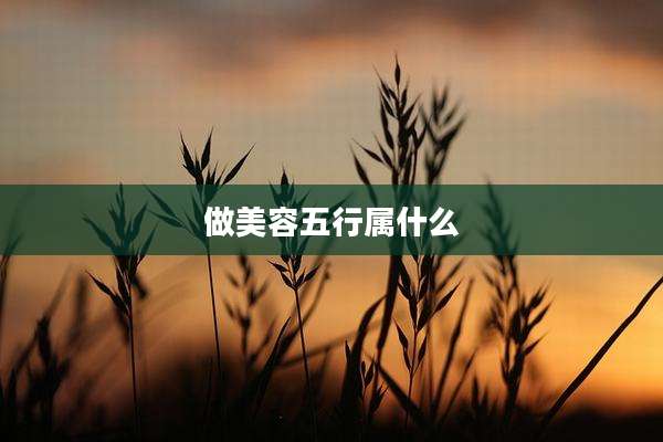 做美容五行属什么