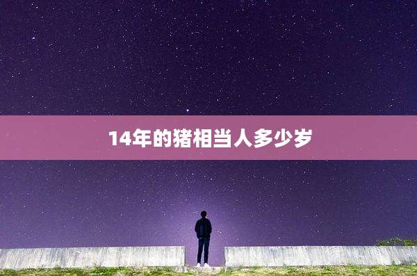 14年的猪相当人多少岁