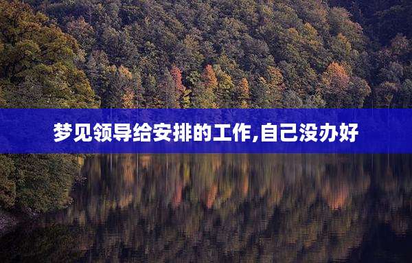 梦见领导给安排的工作,自己没办好