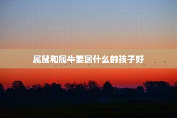属鼠和属牛要属什么的孩子好
