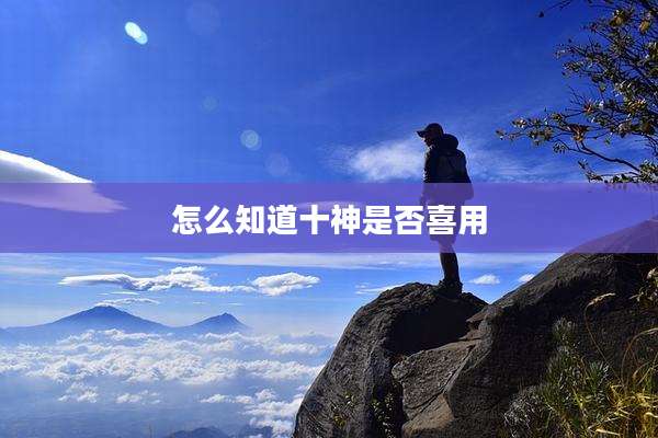 怎么知道十神是否喜用