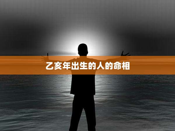 乙亥年出生的人的命相