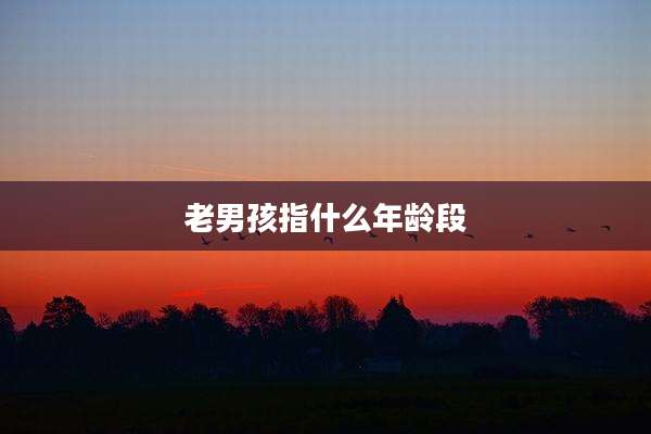 老男孩指什么年龄段