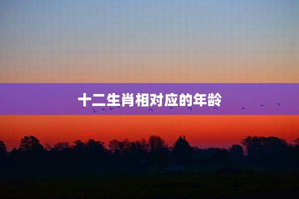 十二生肖相对应的年龄