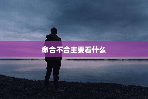 命合不合主要看什么