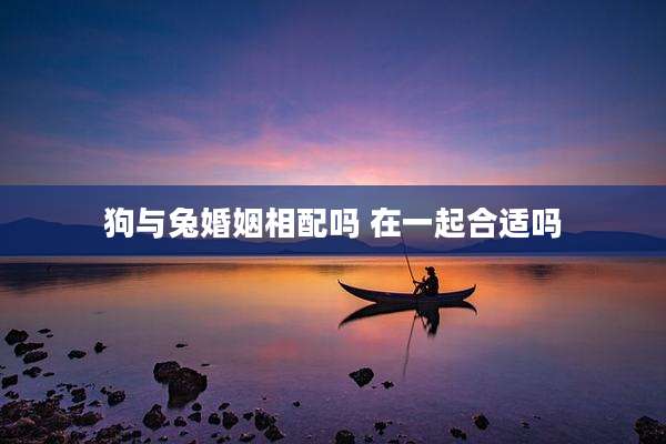 狗与兔婚姻相配吗 在一起合适吗