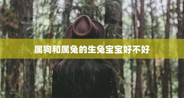 属狗和属兔的生兔宝宝好不好
