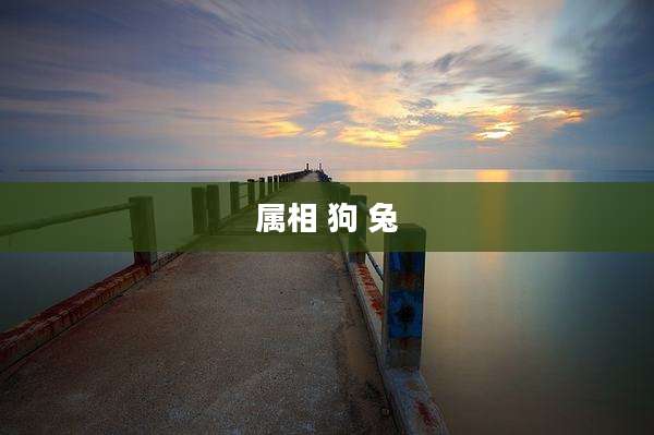 属相 狗 兔