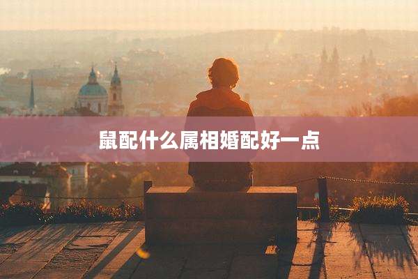 鼠配什么属相婚配好一点