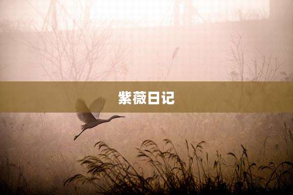 紫薇日记