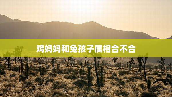 鸡妈妈和兔孩子属相合不合