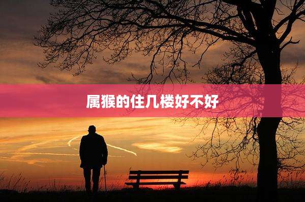 属猴的住几楼好不好