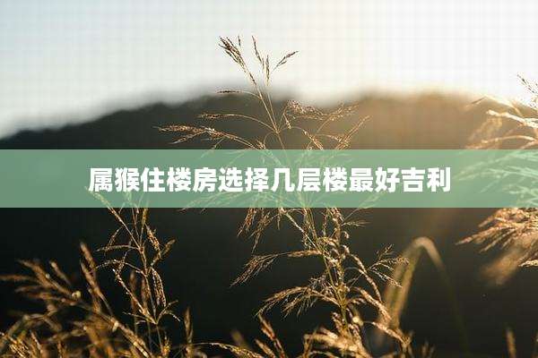 属猴住楼房选择几层楼最好吉利