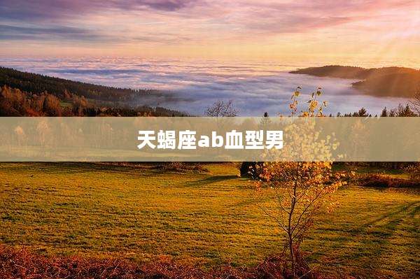 天蝎座ab血型男