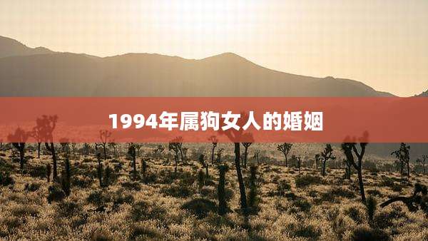 1994年属狗女人的婚姻