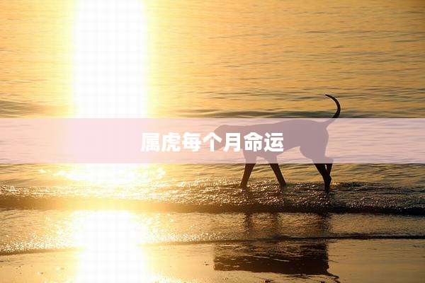 属虎每个月命运