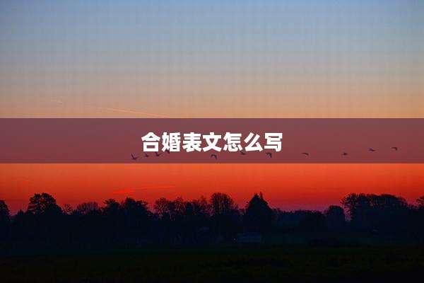 合婚表文怎么写